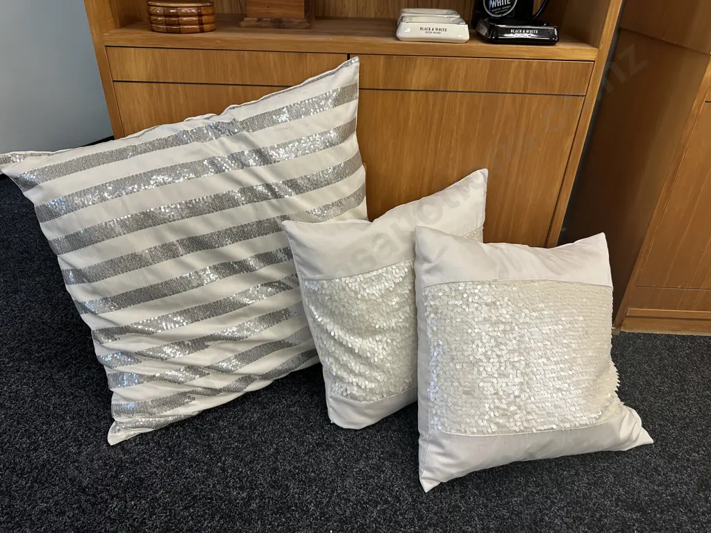Euro Cushion & 2 x Cream Sequence Cushions Image 1++